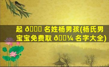起 🐝 名姓杨男孩(杨氏男宝宝免费取 🐼 名字大全)